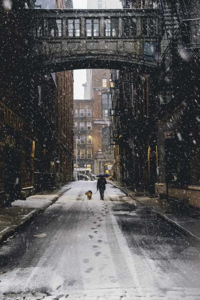 Staple Street Snow - Shahzeb Hyder
